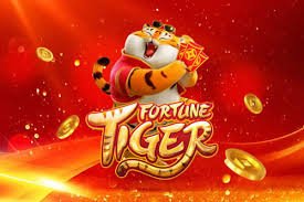 cnc bet 333