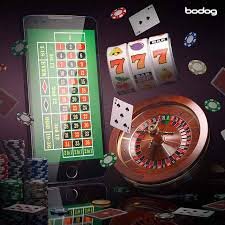 cnc bet 333
