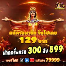 cnc bet 333